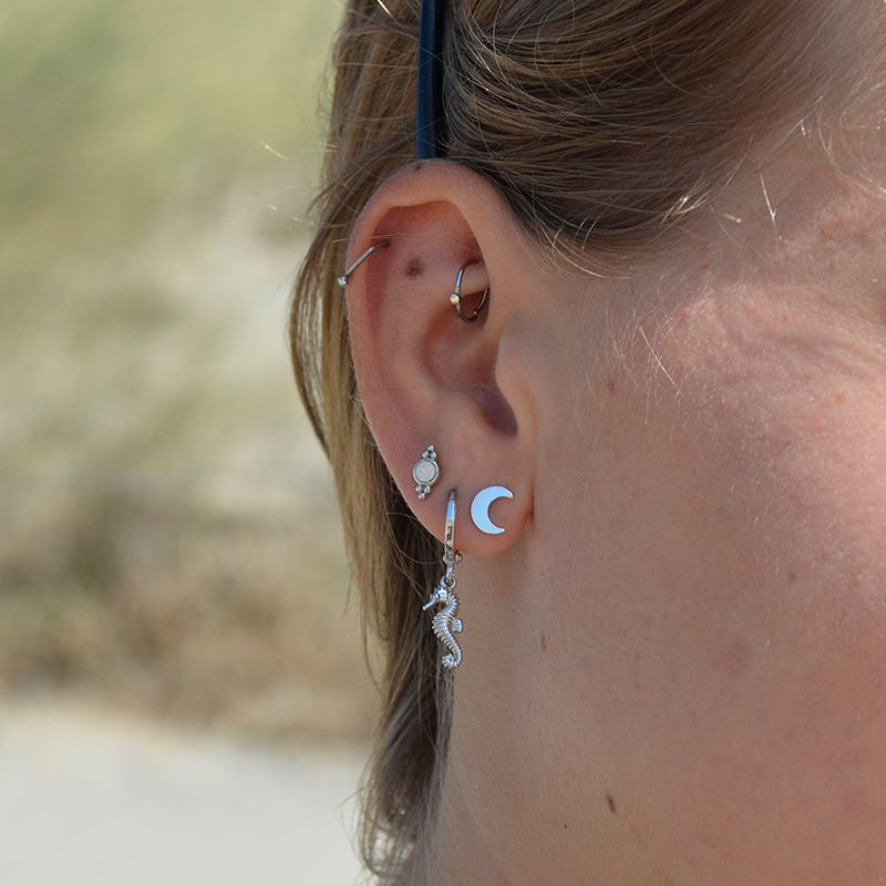 Oorbellen zeepaardje | zilver