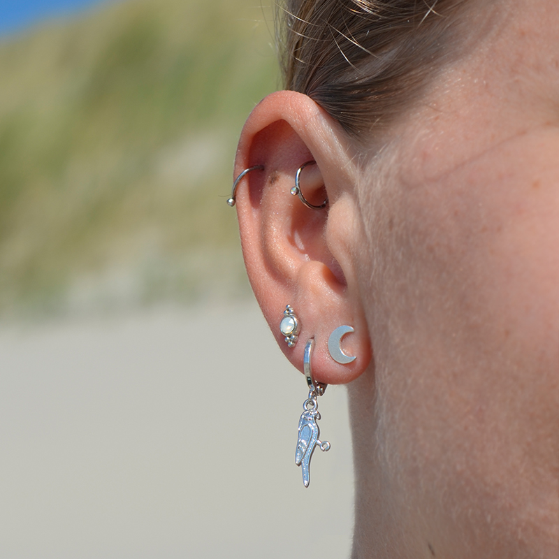 Oorbel papegaai | zilver 